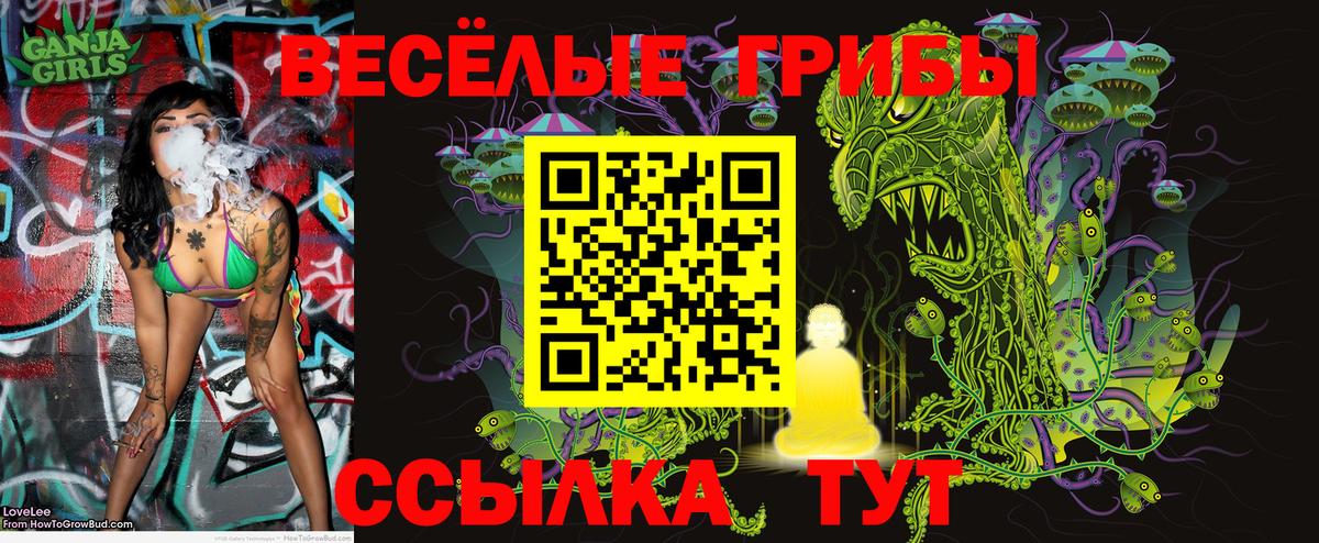 Узловая  Галлюциногенные грибы Psilocybine cubensis  Галлюциногенные грибы мицелий  Вход с VPN 